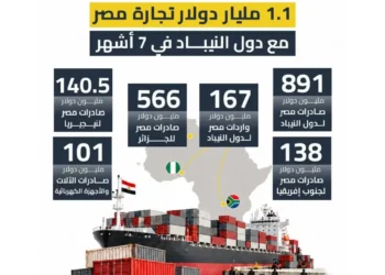 التبادل التجاري بين مصر ودول النيباد